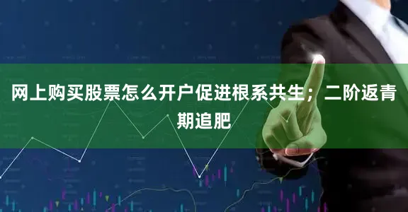 网上购买股票怎么开户促进根系共生；二阶返青期追肥