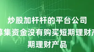 炒股加杆杆的平台公司的募集资金没有购买短期理财产品