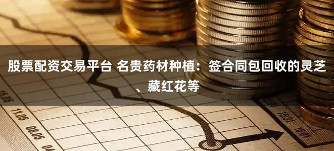 股票配资交易平台 名贵药材种植：签合同包回收的灵芝、藏红花等