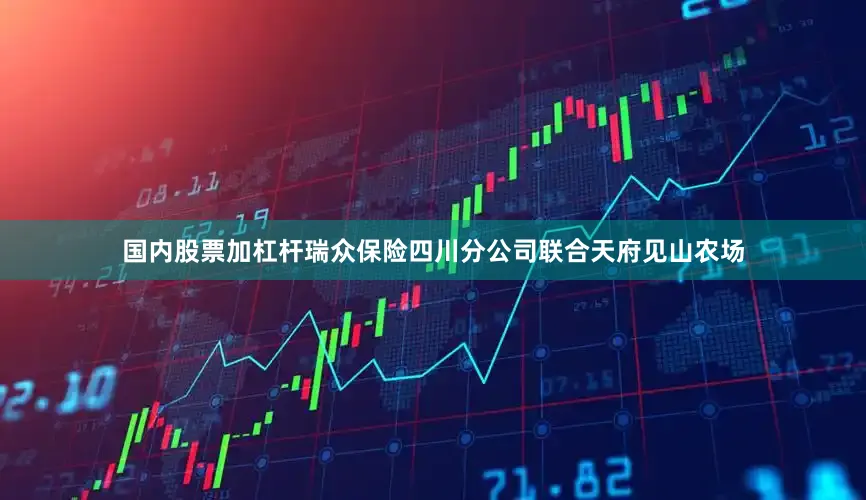 国内股票加杠杆瑞众保险四川分公司联合天府见山农场
