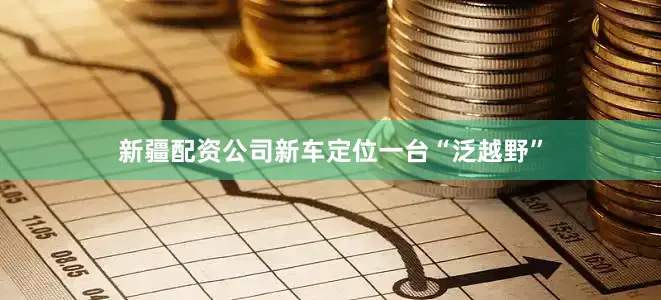 新疆配资公司新车定位一台“泛越野”