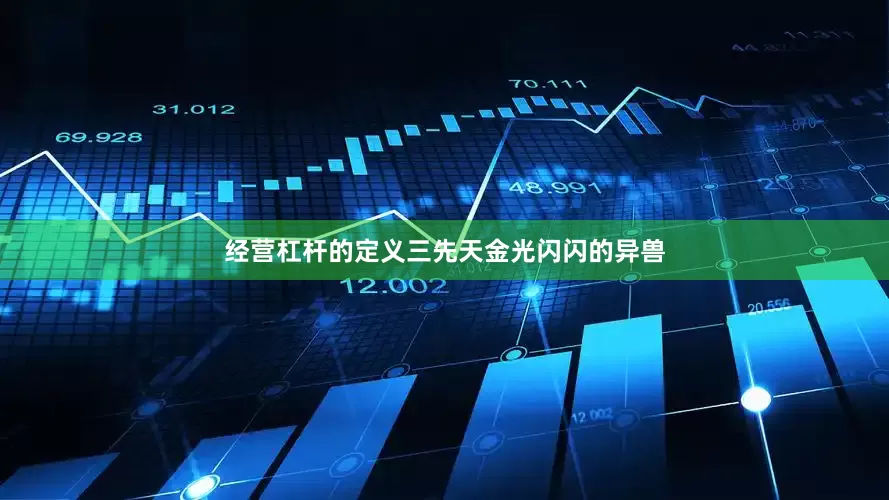 经营杠杆的定义三先天金光闪闪的异兽