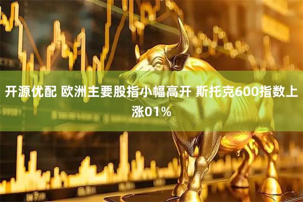 开源优配 欧洲主要股指小幅高开 斯托克600指数上涨01%